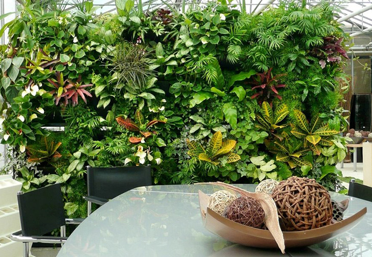 Me Decor - вертикальное озеленение живыми и искусственными растениями