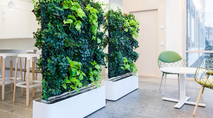 Вертикальное озеленение стен — 15 идей по декору и мастер-класс