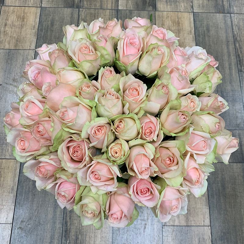 Букет 55 роз (цвет в ассортименте)