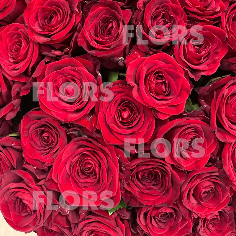 Букет 101 роза (цвет в ассортименте)