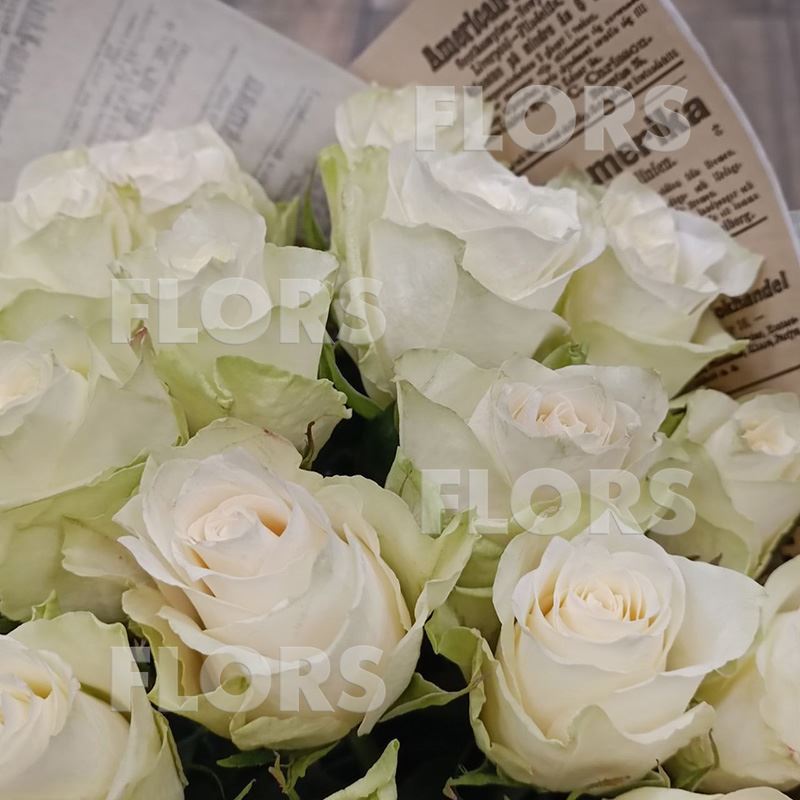Букет белых роз, 25шт