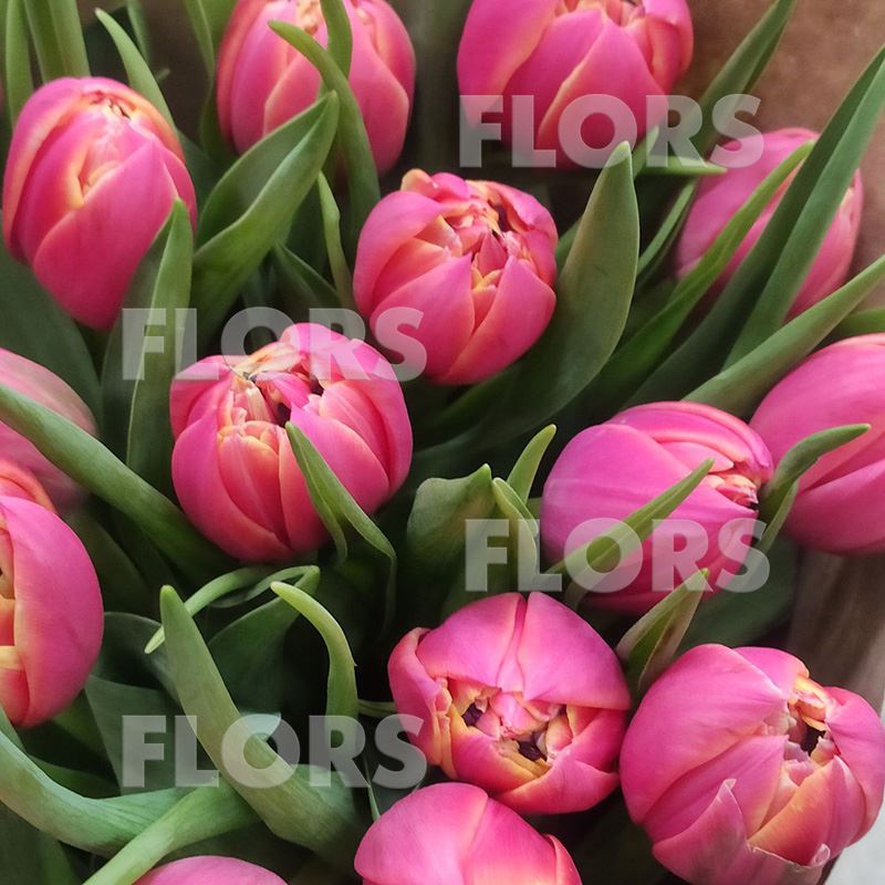 Букет тюльпанов розовых, 21шт