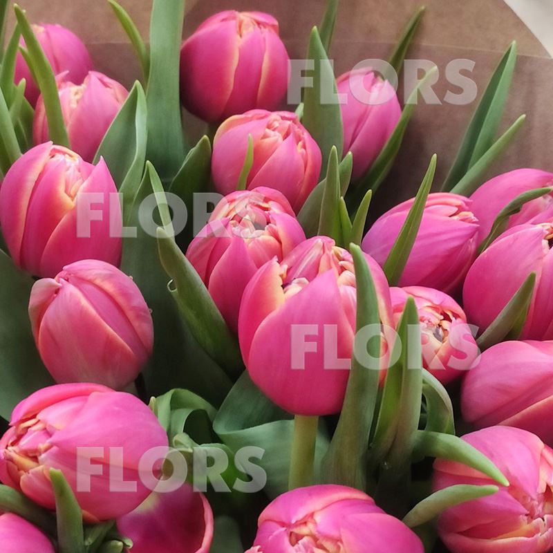 Букет тюльпанов розовых, 27шт