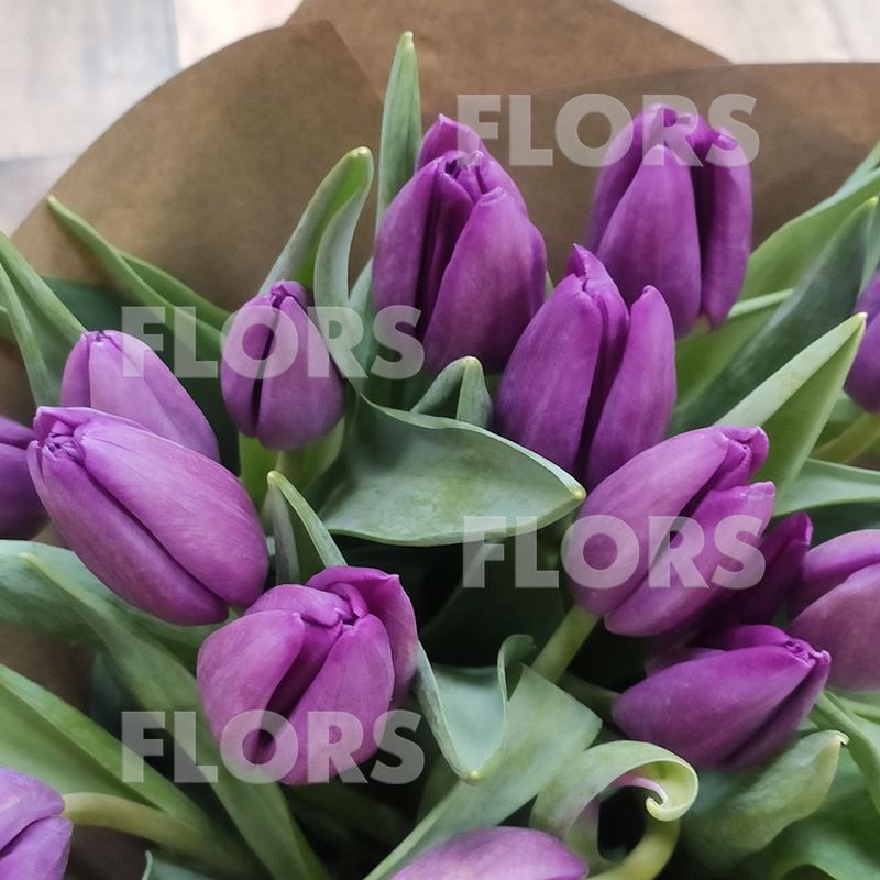Букет тюльпанов лиловых, 21шт
