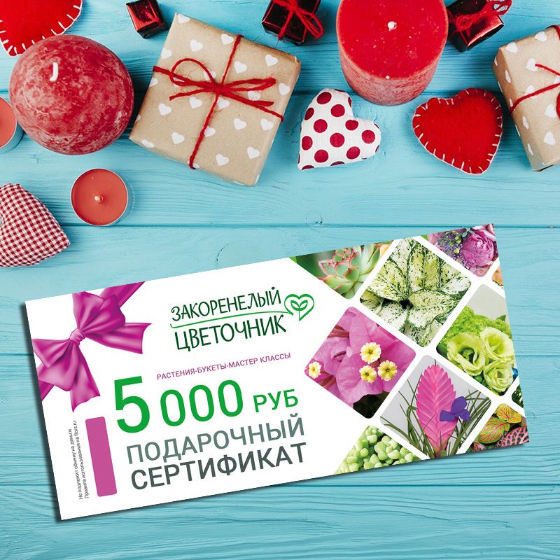 flors Подарочный сертификат на 5000руб