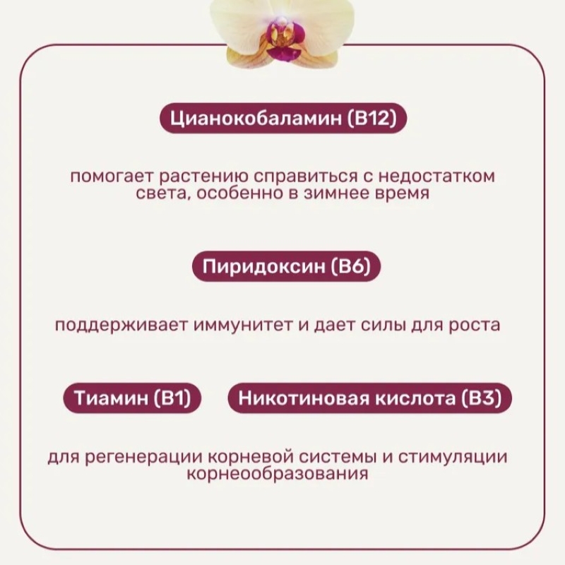 Удобрение Биомолекулы СПРЕЙ для орхидей 500мл