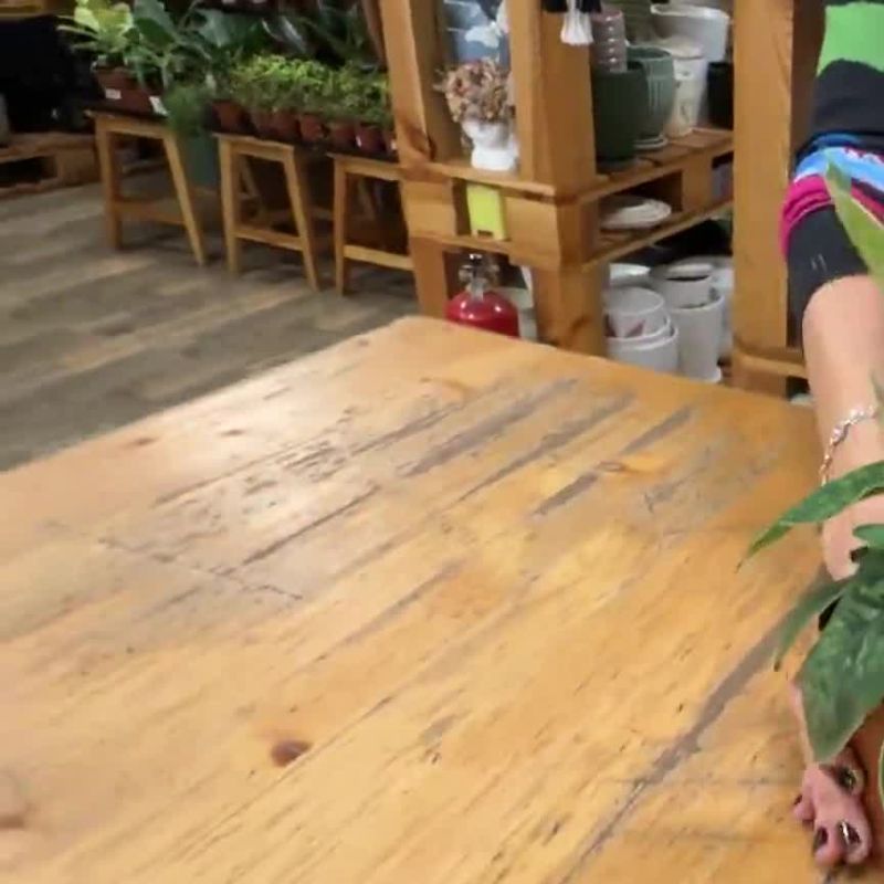 Хомаломена Камуфляж